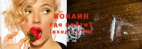 крисы Нея